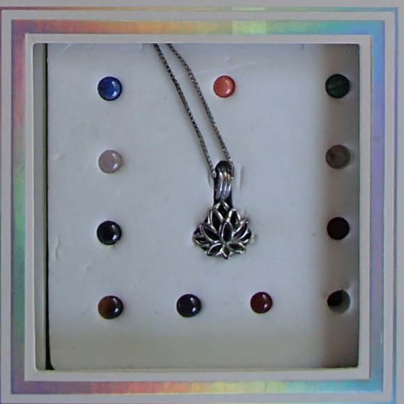 The Giving Gems Lucoral Museum Hawaii Sterling Silver Cage, Chain & 12 Gemstones - Picture 2 of 16